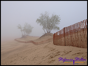 Mount Baldy im Nebel