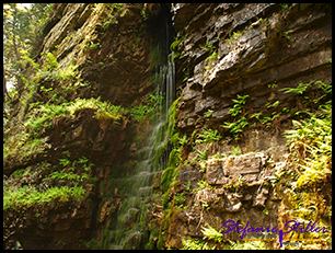 Ausable Chasm