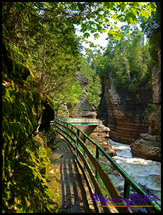 Ausable Chasm