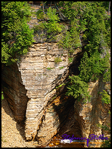 Elephant Rock