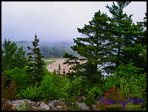 Beach am Scenic Drive Acadia NP