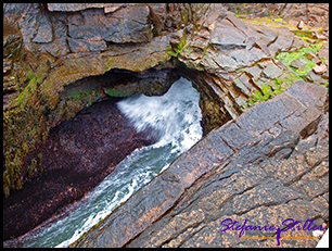 Blow Hole