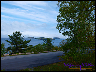 Scenic Drive Acadia NP