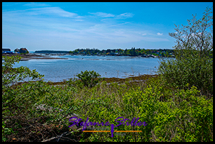 Bucht von Bass Harbor