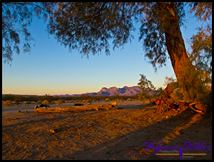 Golden Hour bei den Kelso Dunes