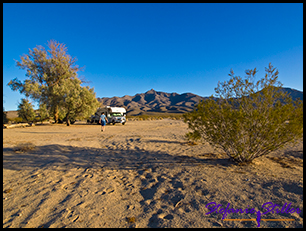 Kelso Dunes