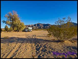 Kelso Dunes