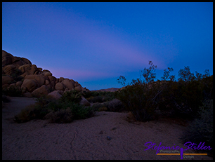 Sunset auf dem Campgound im Joshua Tree