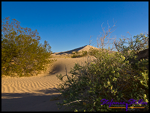 Sanddüne in der ferne angestrahlt von der fürhen Morgensonne