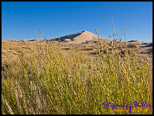 Kelso Dunes am Horizont