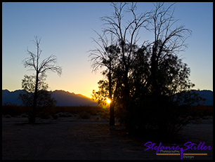 Sonnenaufgang Kelso Dunes