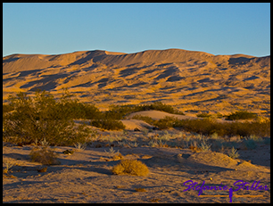 Sonnenaufgang Kelso Dunes