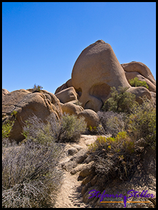 Skull Rock