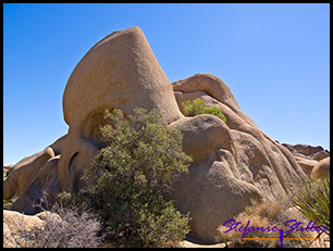 Skull Rock