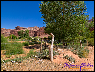 Supai