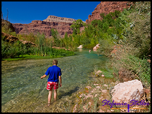 Navajo Creek