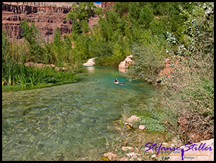 Navajo Creek