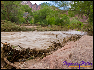 Virgin River