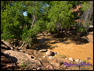 Virgin River