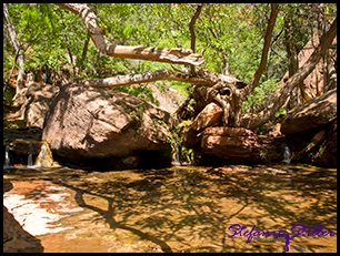 Middle Emerald Pool