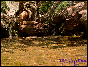 Middle Emerald Pool