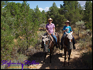 Erinnerungsfoto vom Trailride