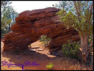 Sand Dunes Arch