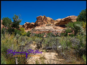 Trail zur Escalante Natural Bridge