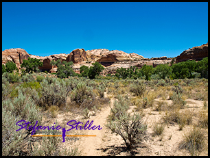 Trail zum Escalante Natural Bridge