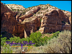 Escalante Natural Bridge