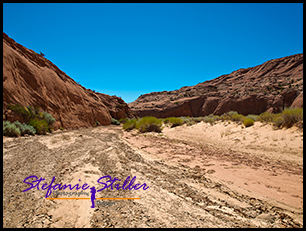 Coyote Gulch