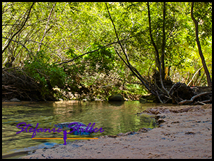 Lower Calf Creek 