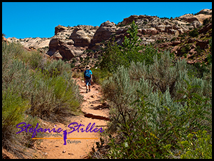 Trail zu Lower Calf Creek Falls