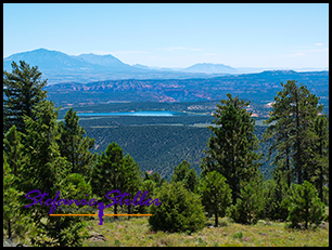 Dixie National Forest