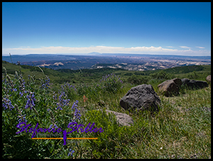 Dixi National Forest