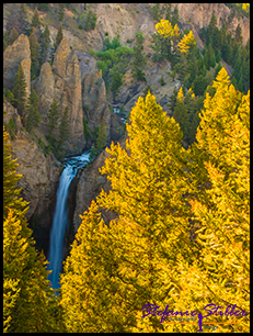 Tower Falls