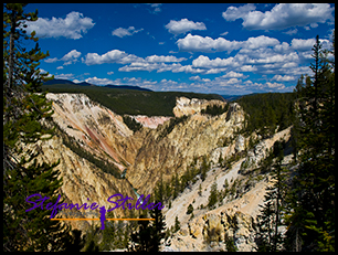 Grand Canyon of Yellowstone