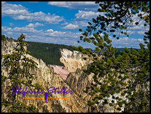 Grand Canyon of Yellowstone