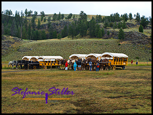 Chuckwagon Dinner
