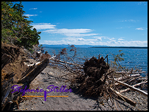 Yellowstone Lake