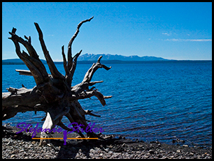 Yellowstone Lake