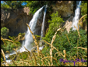 Rifle Falls