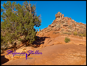 Aufstieg zum Delicate Arch