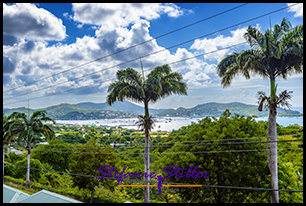 English Harbour view