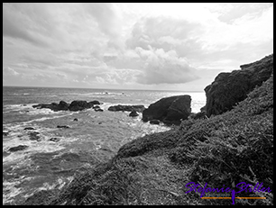 Lizard Point