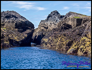 Seals Island