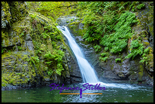 Goldstream Falls