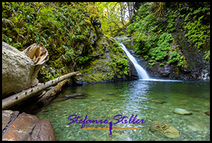 Goldstream Falls