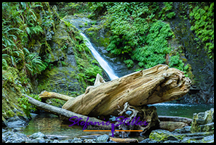 Goldstream Falls