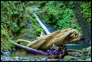 Goldstream Falls